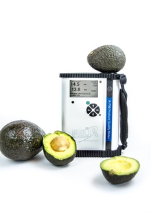 avocado health testing